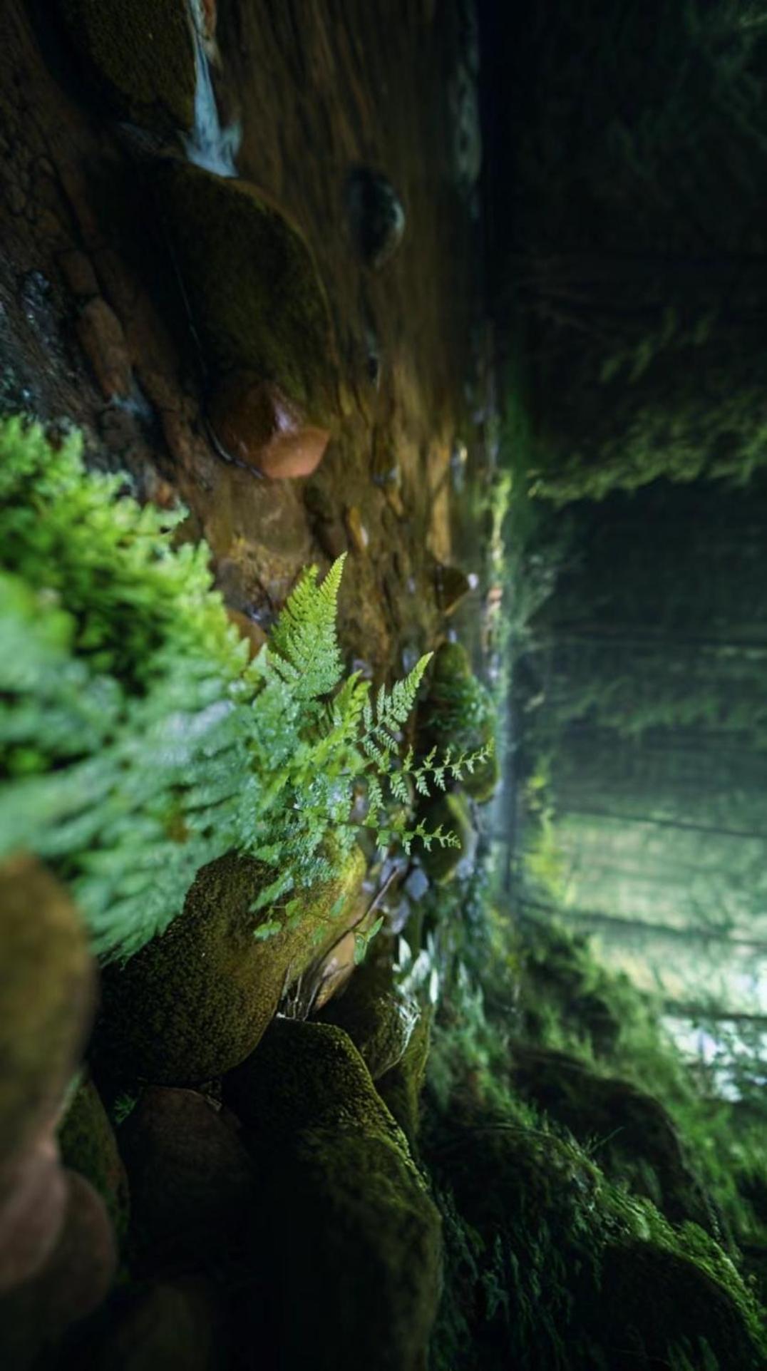 Zhangjiajie One Art Guesthouse Luaran gambar