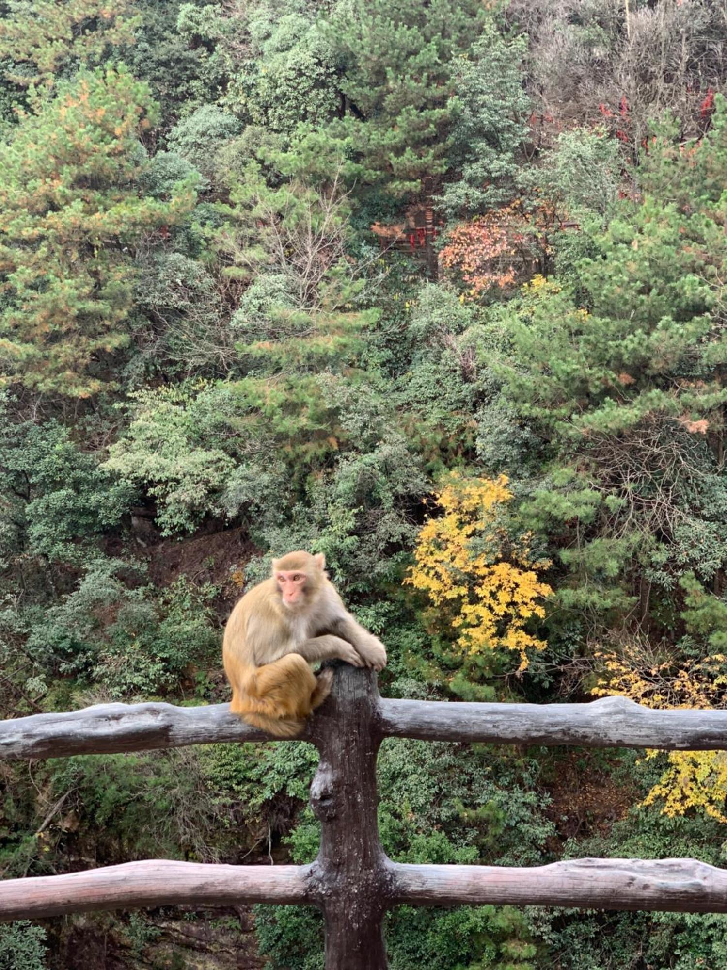 Zhangjiajie One Art Guesthouse Luaran gambar